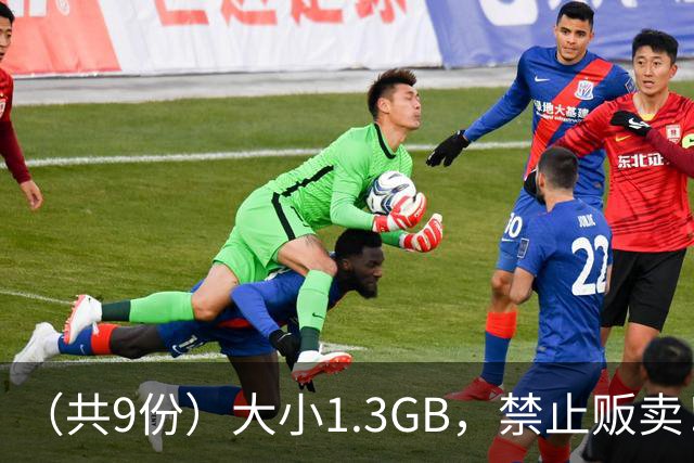 （共9份）大小1.3GB，禁止贩卖！